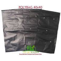 PRTN Polybag Tanaman HD Ukuran 40x40 1kg Cabe EJ289BIG SALE