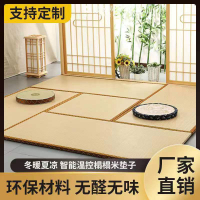 【公司貨/免運】榻榻米客製墊子加熱電加熱定做椰棕日式床墊塌塌米踏踏地墊家用