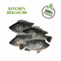 kitchen bekasi88 menjual mujair segar