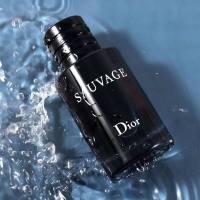 Dior迪奧曠野男士香水淡香持久100ml木質調濃香Sauvage正品禮盒裝-樂購
