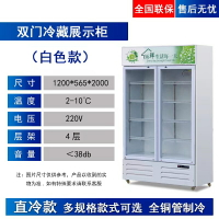 保鮮柜冷藏柜展示柜冰柜商用啤酒柜雙門飲料柜三門冰箱立式冷凍柜