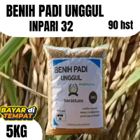 benih padi bibit padi unggul inpari 32 berkualitas premium super babot