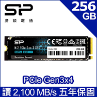 SP廣穎 P34A60 256GB NVMe Gen3x4 PCIe SSD 固態硬碟