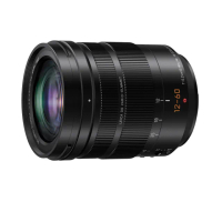 【Panasonic 國際牌】LEICA DG VARIO 12-60mm F2.8-4 ASPH POWER O.I.S.(公司貨)