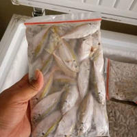ikan selar beku fresh 500gr