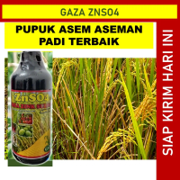 GAZA ZNSO4 500 ML booster anakan padi paling bagus dan ampuh melindungi tanaman dari epek kekeringan