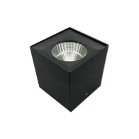 Dimmable LED Downlights 15W COB Surface decoration Ceiling Led Spot Lamps Home Bedroom Lighting 220V 110V