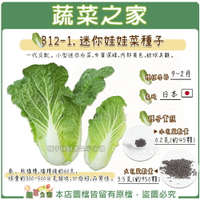 【蔬菜之家】B12-1.迷你娃娃菜種子(共有2種包裝可選)
