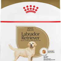 Labrador Retriever Adult Dry Dog Food, 30 Lb Bag