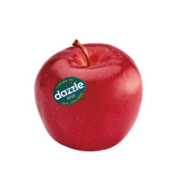 【舒果SoFresh】紐西蘭Dazzle耀眼之星/炫麗蘋果#90_32顆x1箱(約6kg/箱_冷藏配送)