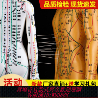 {可刷卡 打統編}人體針灸模型人經絡穴位中醫全身十二銅人模特圖練習小皮人可扎針