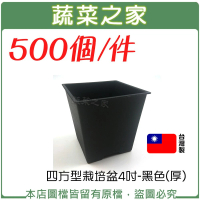 【蔬菜之家】500個件-四方型栽培盆4吋-黑色厚(花盆 塑膠花盆 蔬菜盆)