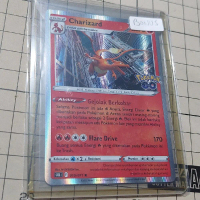 kartu pokemon indonesia s10b charizard holo