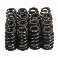 Springs PAC 1218 Springs for TBSS Engine Replacement Springs Easy Installation Rustproof 16Pcs