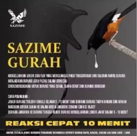 GURAH SAZIME untuk burung murai batu