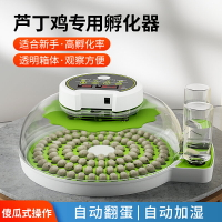 【臺灣公司優質服務】孵化器小型家用全自動智能小飛碟孵蛋器鸚鵡蘆丁雞鳥蛋恒溫孵化箱