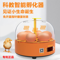 110V 實驗孵蛋器小雞孵化器小型家用全自動雞蛋孵化箱兒童智慧孵化機【年終特惠】
