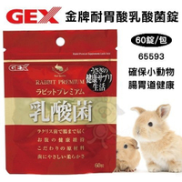 『寵喵樂旗艦店』日本GEX《金牌耐胃酸乳酸菌錠》60錠/包 小動物適用