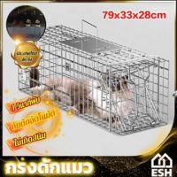 พร้อมส่งจากไทย Esh Cat Trap, Cat Trap Cage, Cat Catcher, Cat Cage, Cat Trap Cage, High Sensitivity, 