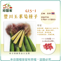 【綠藝家】G15-1豐川玉米筍種子5.5克(約20顆)(有藥劑處理)