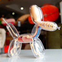 Big Balloon Dog 4d Assembling Toy Perspective Bone Anatomy Model Transparent Skeleton Model
