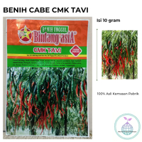 Benih Cabe Merah Keriting CMK Tavi 10 gram Cap Bintang Asia