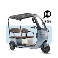 Hot Sale Moteur Scooter Electric Tricycle e-Trikes Electric Tricycles Adult With Roof