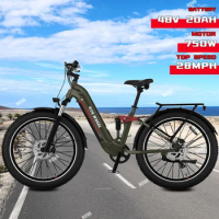 Electric Bike 48V 20AH Samsung Battery 750W Powerful Motor 26*4.0inch Fat Tire Full Suspension Ebike Mountain Electric Bicycles