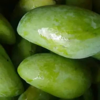 Mangga Kiojay mengkal