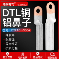 DTL銅鋁鼻子 銅鋁過度接頭1234567890平方銅鋁接線端子線耳線鼻子
