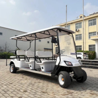 Golf Cart Rental Luxurious Street Legal Lithium Battery 2 4 6 8 Seater Electric Golf Cars Buggy