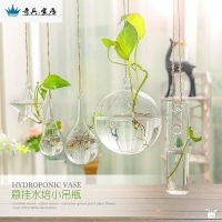 ，盆栽花卉植物掛墻壁水養水培玻璃壁掛式花瓶客廳透明墻上小吊瓶