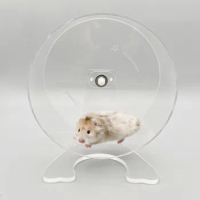 Quiet Acrylic Hamster Running Wheel Chipmunk Small Pet Exercise Wheel Hamster Toy Hamster Accessories Hamster Exercise Wheel