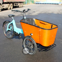 3 Wheel Swing Tilt System Cargo Bike Tricycle Mid Drive Family Bike Hydraulic Disc Brakes Front Loading With Seats For Kids