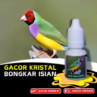 Vitamin Burung Emprit Goldfinch