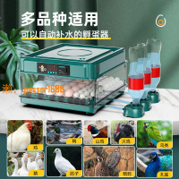 【台灣保固】【高孵化率】小雞孵化器中小型家用全自動智能孵蛋器雞鴨鵝孵化箱