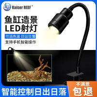 燈座/燈管 免運 Kaiser凱撒魚缸智能4射燈南美缸三湖慈鯛原生異形燈鼠魚草缸L61公司貨 快速出貨