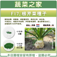 【蔬菜之家】F17.根芹菜種子 (共兩種包裝可選)