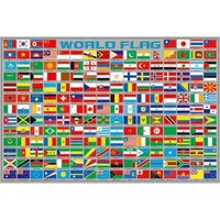 P2 - 01-001 收集世界 世界國旗 1000片拼圖