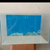 aquarium pbass Orinoco 10cm