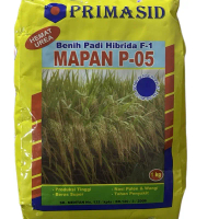 Bibit Padi Mapan 05 Original - 1 kg, Produksi Tinggi, Nasi Pulen & Wangi, Tahan Penyakit, Beras Supe