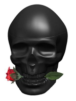 美國百分百【全新真品】Ed Hardy Skulls &amp; Roses骷髏與玫瑰 香水 香精 男款 送禮 男香 J159