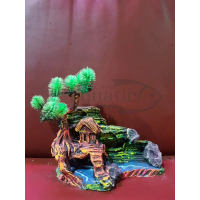 TEBING MIRING HIASAN AQUARIUM AQUASCAPE