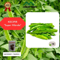 Benih Kecipir Hibrida