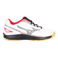 MIZUNO SKY BLASTER 3 男女羽球鞋-3E(免運 羽毛球 美津濃「71GA234501」≡排汗專家≡