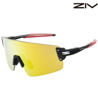 ZIV ARMOR XS 青少年款 太陽眼鏡/運動眼鏡 180 B118023 霧黑/古銅金鍍膜 BSMI D63966