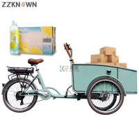 Pedal New Adult Tricycles Trekking Foldable Electric Cargo Bike Tandem Bicycle Reverse Cycling Storage Cart