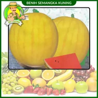 Benih Buah Buahan Semangka Strawberi Melon Labu Benih Bibit Murah Berkualitas Semangka Kuning