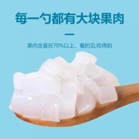 椰果500g  石榴汁風味飲料濃漿商用奶茶店原料紅石榴果汁濃縮汁芭樂草莓糖漿