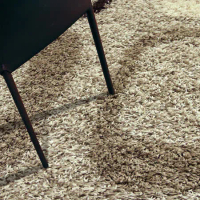 【范登伯格】美諾斯土耳其悠閒LOUNGE 進口長毛地毯-160X230cm